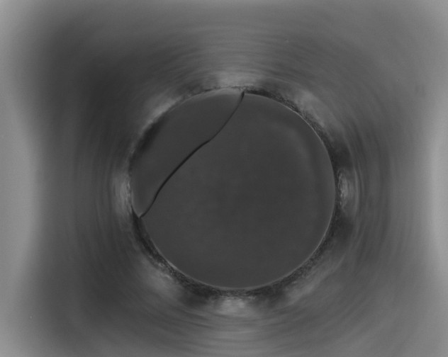 X0000115270684200911061308