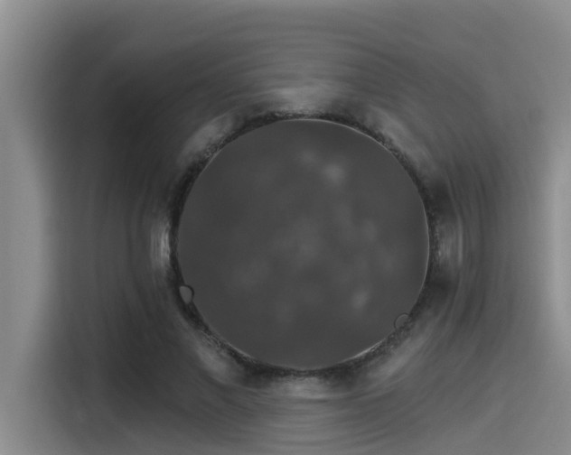 X0000115270685200911061308
