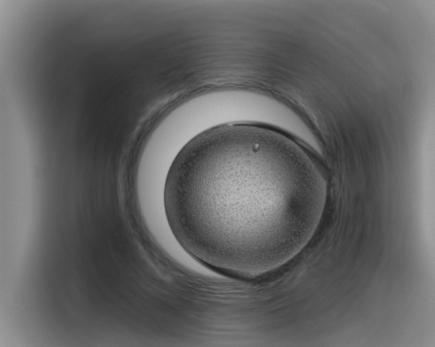 X0000115270688200911061308
