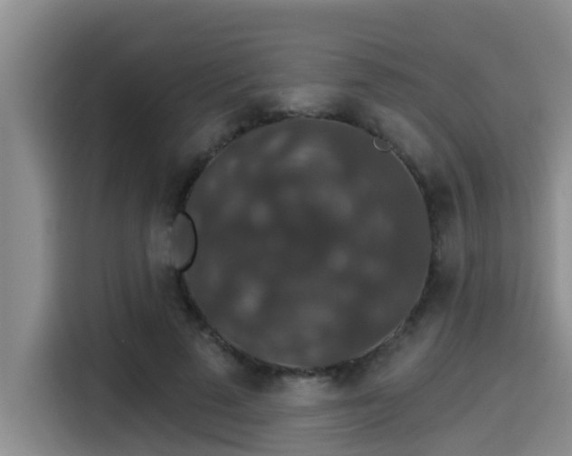 X0000115270689200911061308