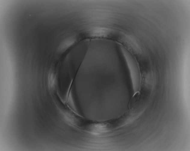 X0000115270692200911061308