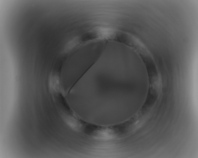X0000115270696200911061308