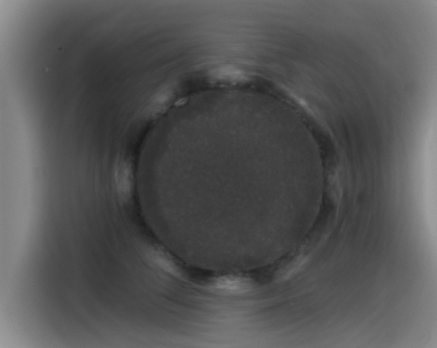 X0000115270708200911061308
