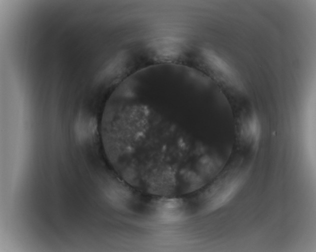 X0000115270711200911061308