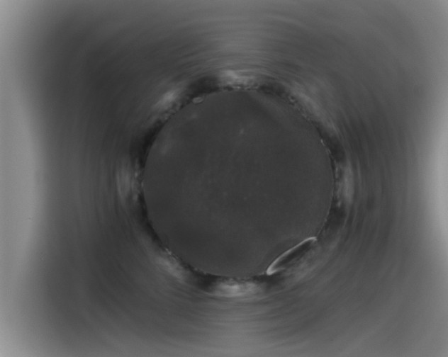 X0000115270712200911061308