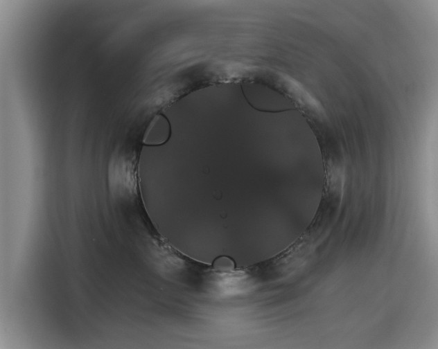 X0000115270719200911061308