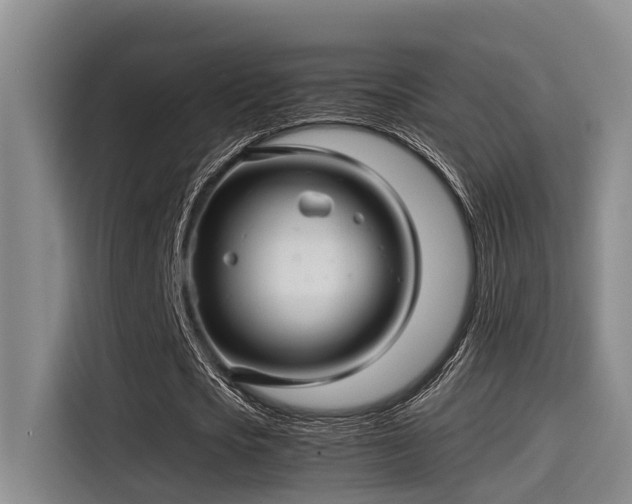 X0000115270721200911061307