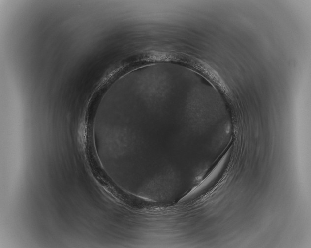 X0000115270722200911061307