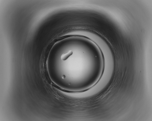 X0000115270723200911061307