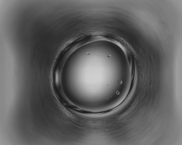 X0000115270725200911061307