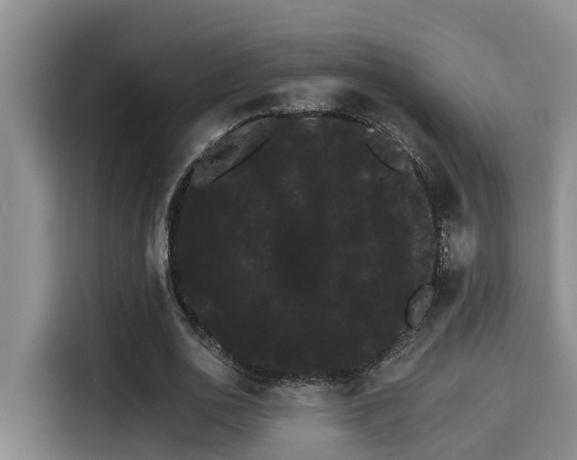 X0000115270726200911061307