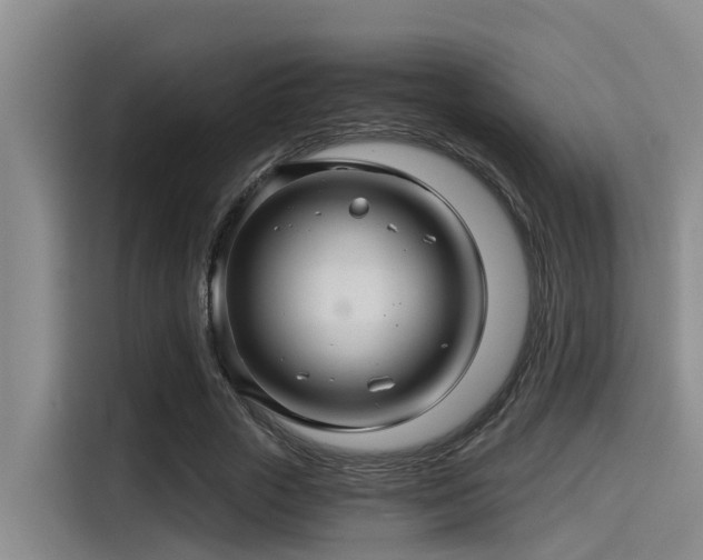 X0000115270729200911061307