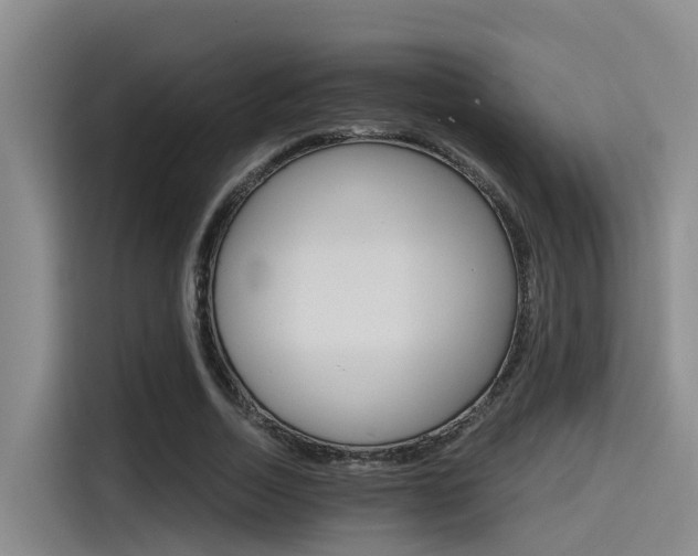 X0000115270730200911061307