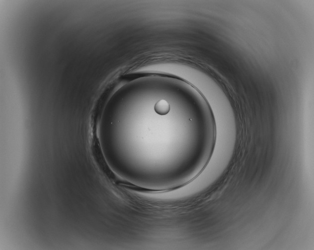 X0000115270733200911061307