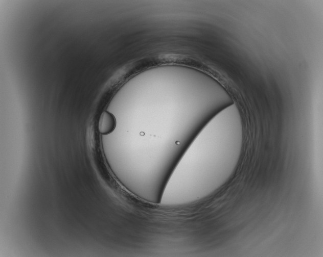X0000115270734200911061307
