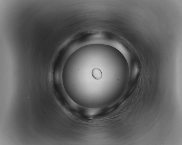 X0000115270735200911061307
