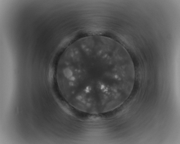 X0000115270742200911061307