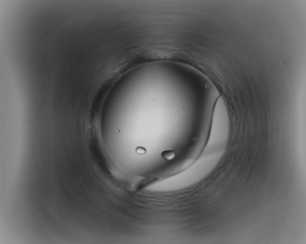 X0000115270743200911061307