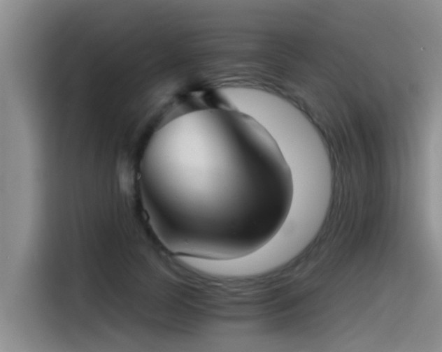 X0000115270745200911061307