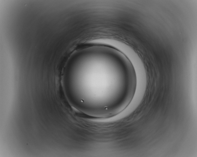 X0000115270749200911061307