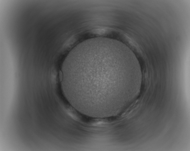 X0000115270750200911061307