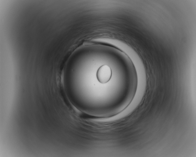 X0000115270753200911061307
