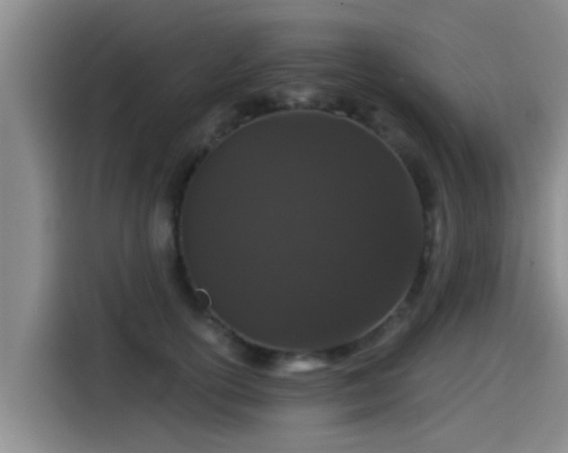 X0000115270754200911061307