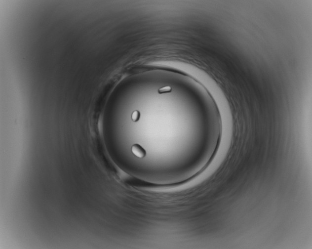 X0000115270755200911061307