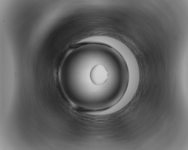 X0000115270761200911061307