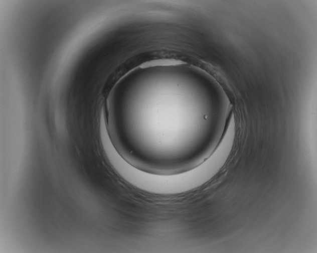 X0000115270762200911061307