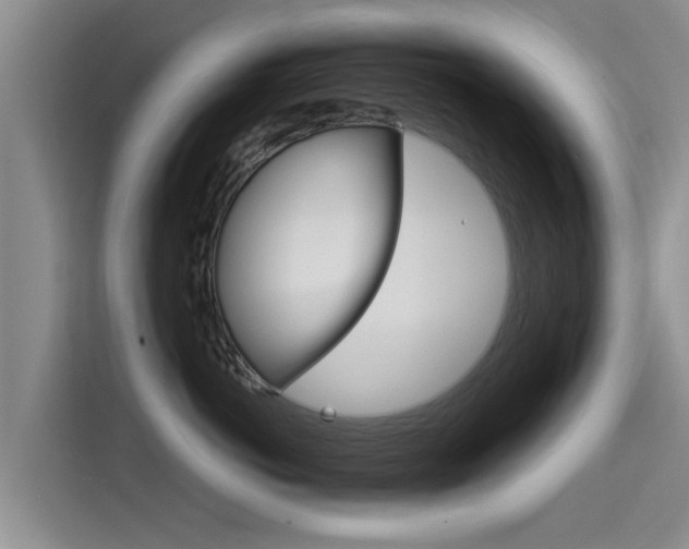 X0000115270766200911061308