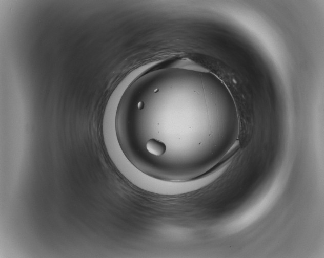 X0000115270767200911061308