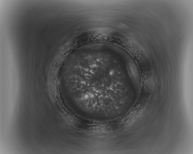 X0000115270769200911061307