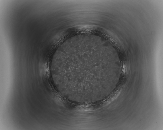 X0000115270771200911061307