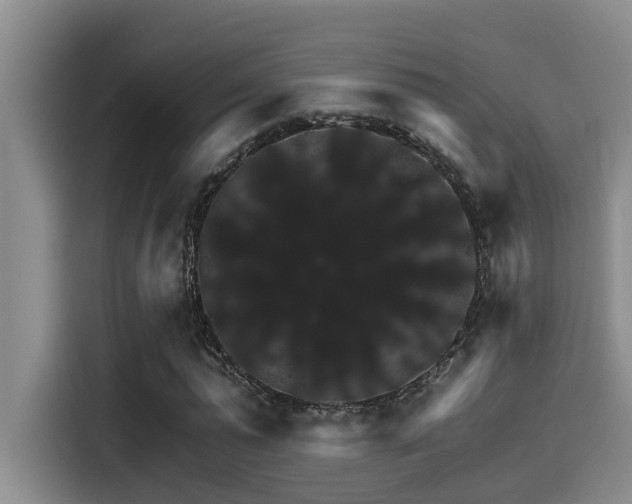 X0000115270775200911061307
