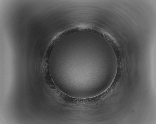 X0000115270776200911061307