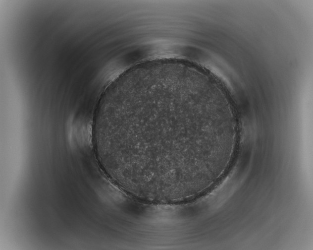 X0000115270777200911061307