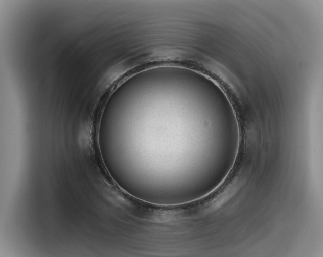 X0000115270778200911061307