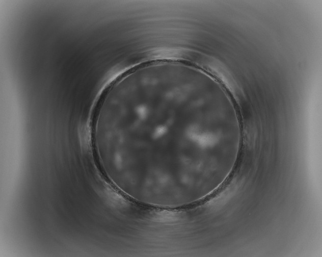 X0000115270779200911061307