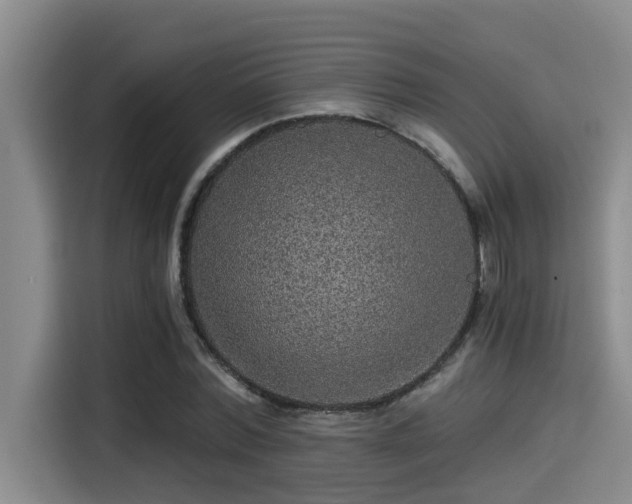 X0000115270780200911061307