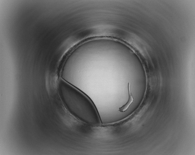 X0000115270781200911061307