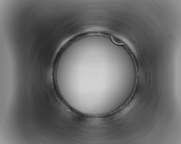 X0000115270783200911061307