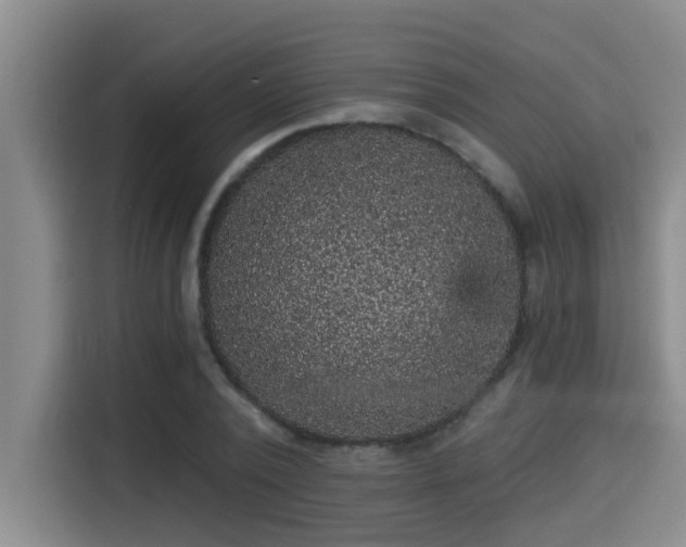 X0000115270784200911061307