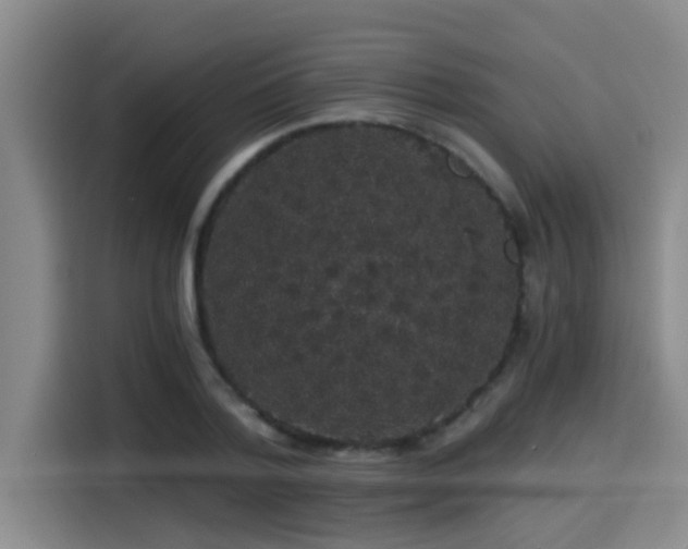 X0000115270788200911061307