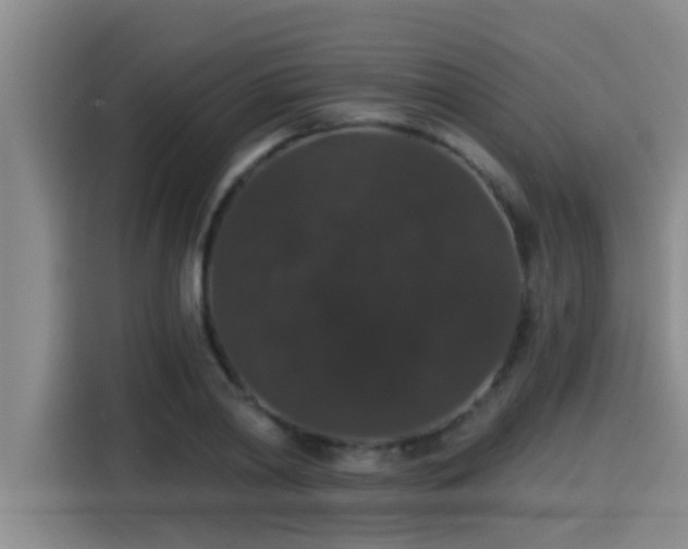 X0000115270790200911061307