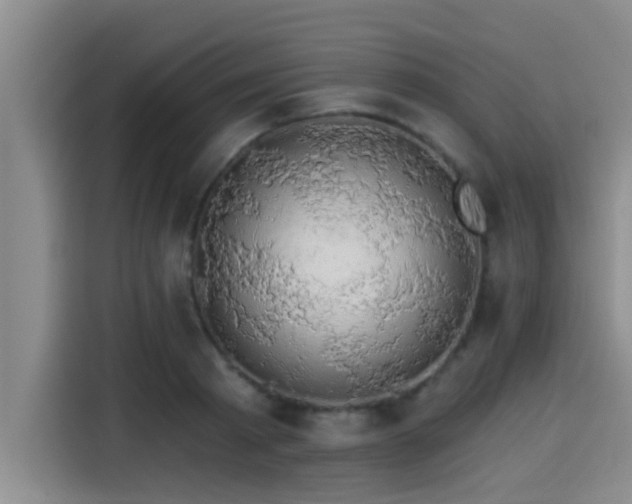 X0000115270793200911061307