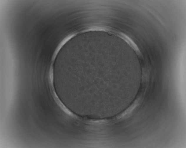 X0000115270804200911061306