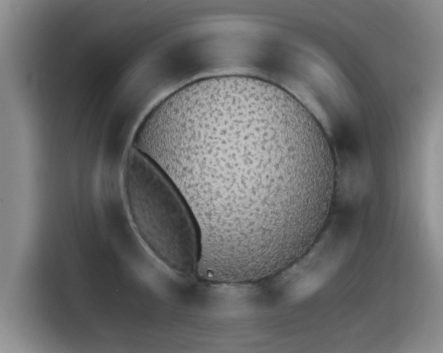 X0000115270805200911061306