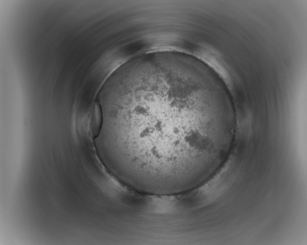 X0000115270809200911061306