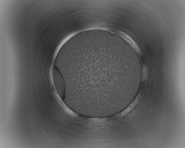 X0000115270812200911061306